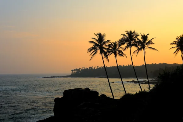 Tropische zonsondergang — Stockfoto