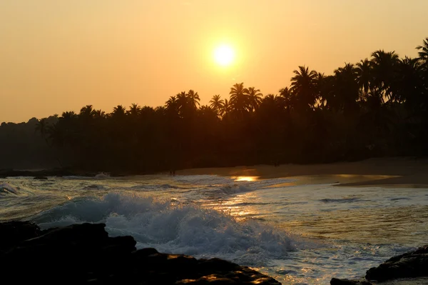 Atardecer tropical —  Fotos de Stock