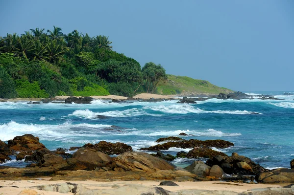 Tropical beach — Stock Photo, Image