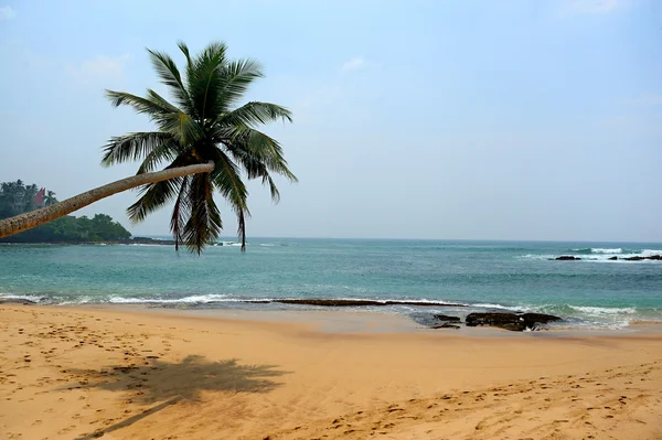 Spiaggia tropicale — Foto Stock