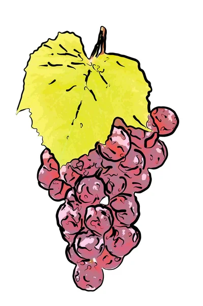 Dranw uvas vermelhas frescas com folhas — Fotografia de Stock