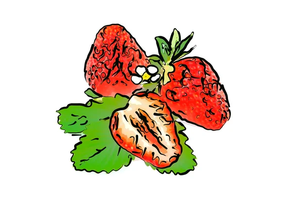 Strawberry — Stock Photo, Image