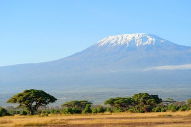 kilimanjaro Dağı tepesinde kar