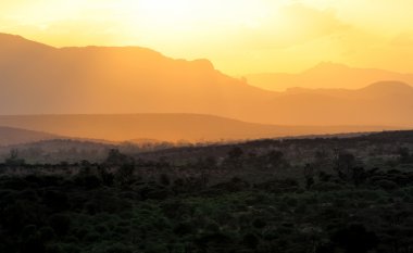 Günbatımı ile Afrika savana ağaçlar