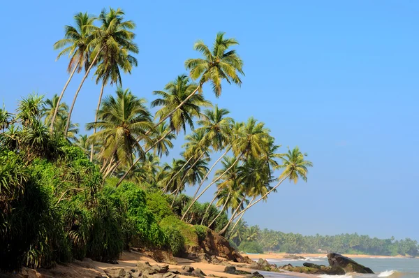 Praia tropical — Fotografia de Stock