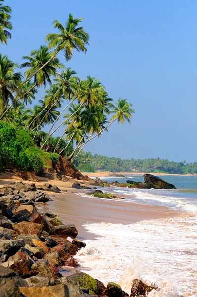 Spiaggia tropicale — Foto Stock