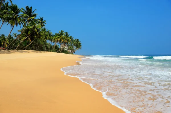 Playa tropical — Foto de Stock