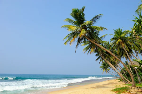 Tropical beach — Stock Photo, Image