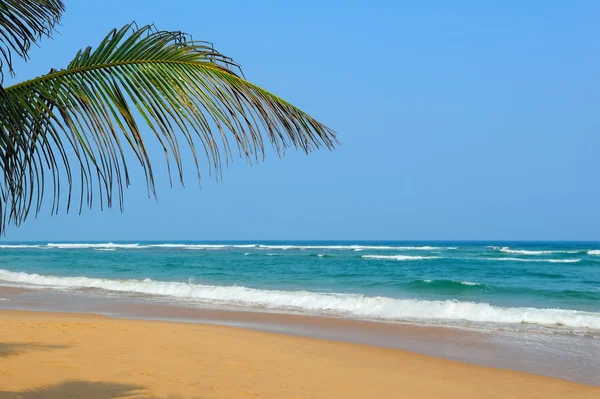 Praia tropical — Fotografia de Stock