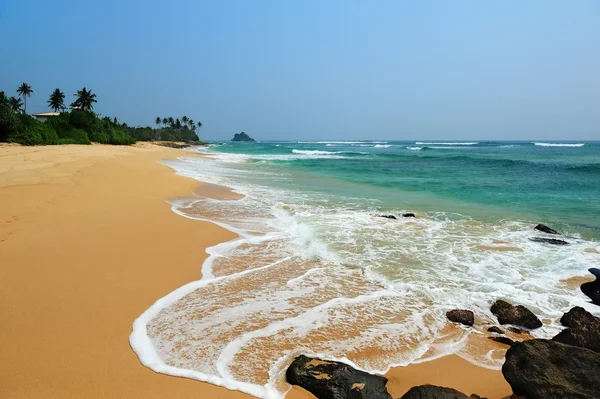 Tropisch strand — Stockfoto