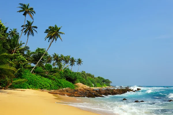 Tropical beach — Stock Photo, Image