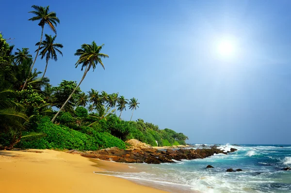 Tropical beach — Stock Photo, Image