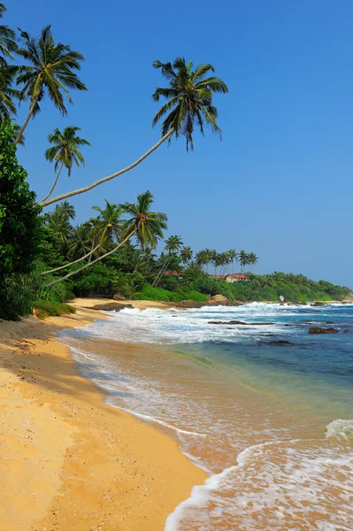 Playa tropical — Foto de Stock