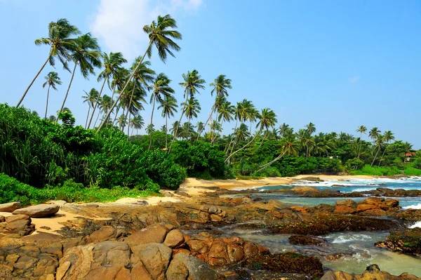 Praia tropical — Fotografia de Stock