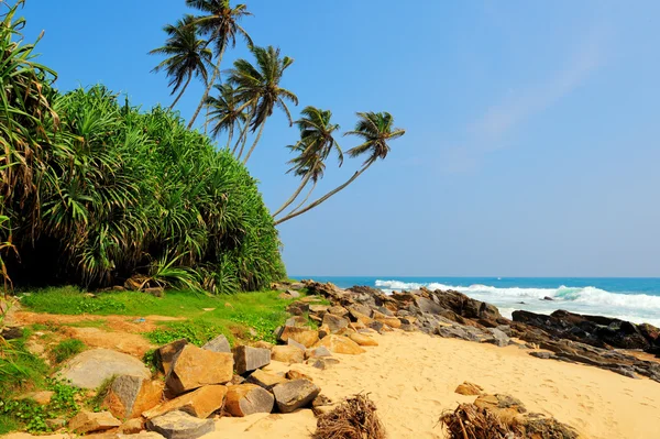 Tropischer Strand — Stockfoto