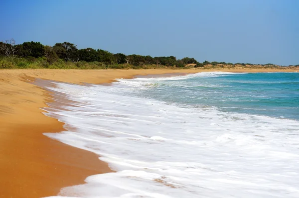 Tropical beach — Stock Photo, Image