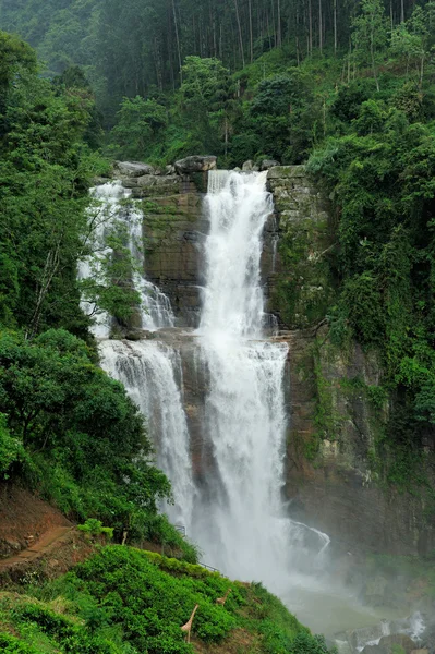 Рамбодский водопад в Шри-Ланке — стоковое фото