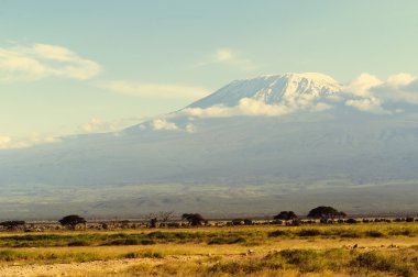 Kilimanjaro Dağı