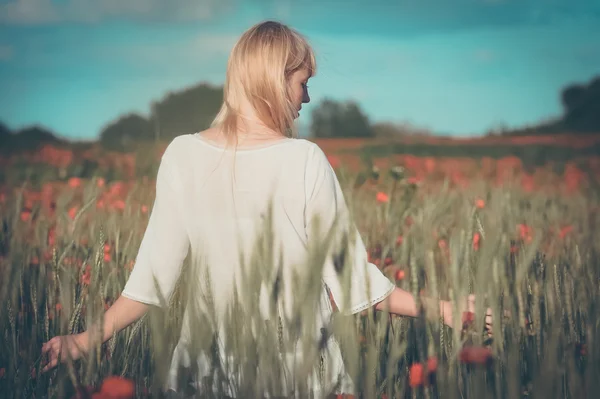 Young beautiful girl in the field — Stock Photo, Image