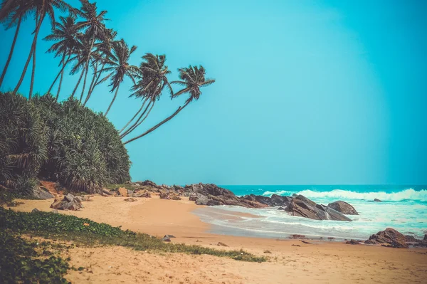 Playa tropical — Foto de Stock