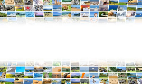 Natureza foto (animal, paisagem, praia ) — Fotografia de Stock