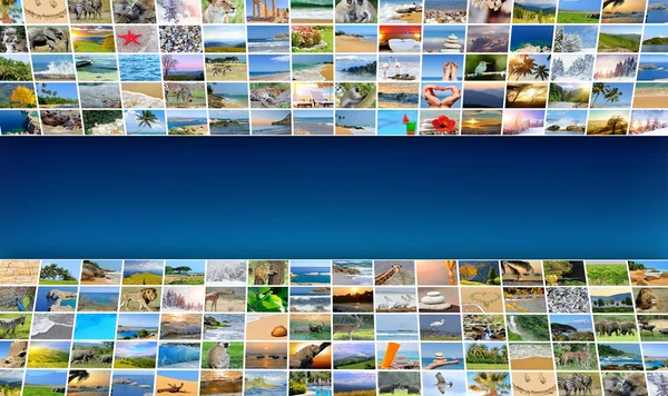 Natur foto (djur, landskap, beach) — Stockfoto