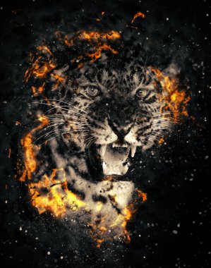 Yangında leopar