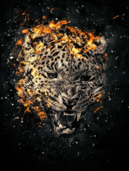 Leopard im Feuer — Stockfoto