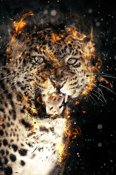 Leopard in fire — Stock Photo, Image