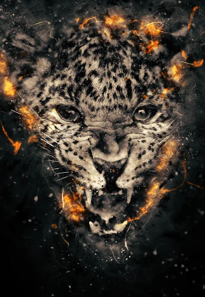 Leopardo in fiamme — Foto Stock