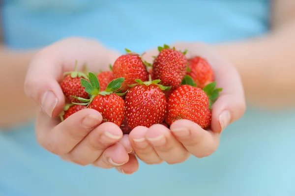 Fragole — Foto Stock