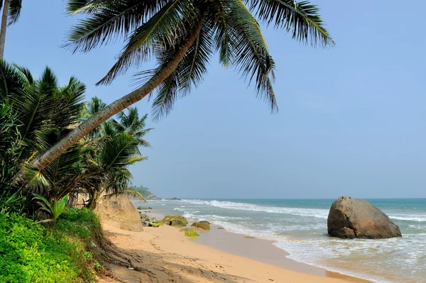 Spiaggia tropicale — Foto Stock