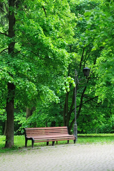 公园里的长椅 — 图库照片