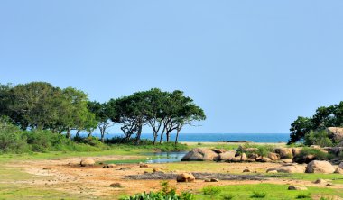 sri lanka Milli Parkı