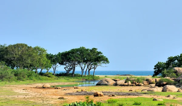 National park of Sri Lanka — Stock Photo, Image