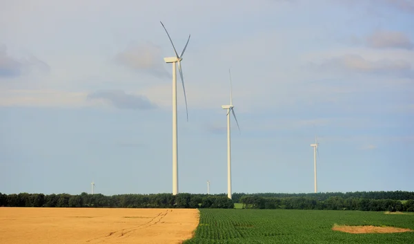 Větrné turbíny v poli — Stock fotografie