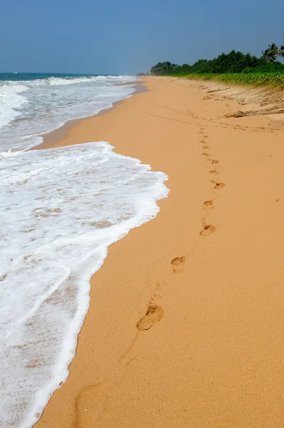 Praia tropical — Fotografia de Stock