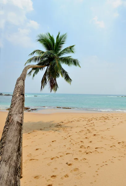 Tropischer Strand — Stockfoto