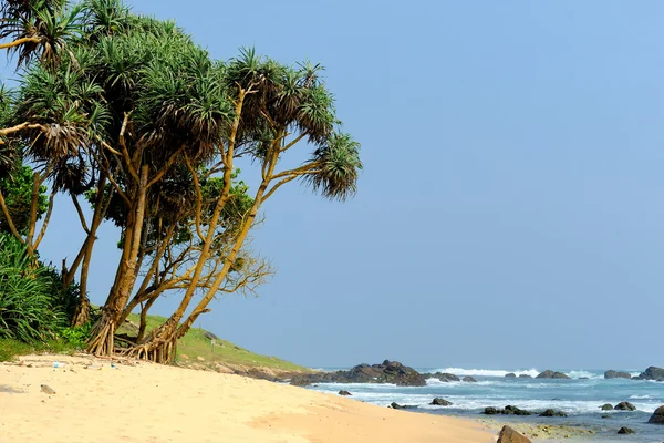 Spiaggia tropicale — Foto Stock