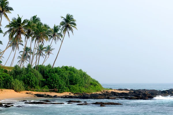 Tropischer Strand — Stockfoto