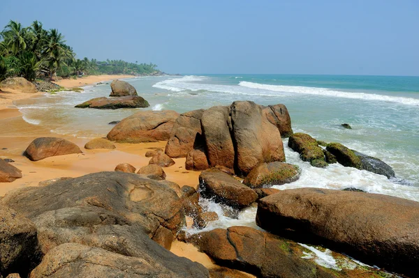 Tropical beach — Stock Photo, Image