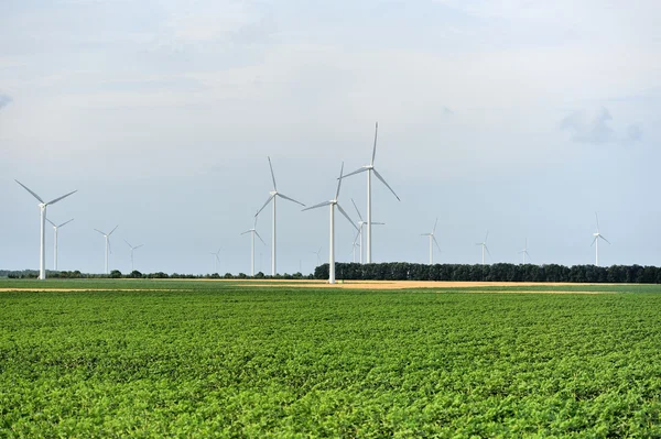 Turbinas eólicas en un campo — Foto de Stock