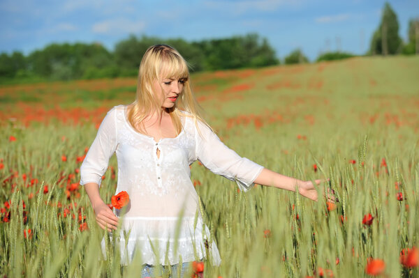 Young beautiful girl in the poppy