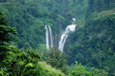 Sri Lanka 'da güzel bir şelale