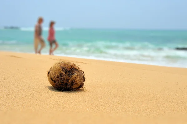 Coco na praia tropical — Fotografia de Stock