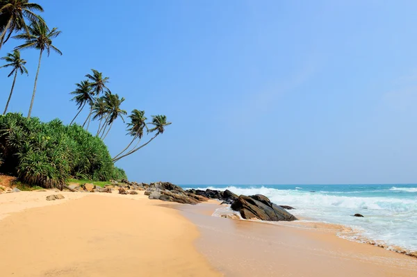 Tropical beach — Stock Photo, Image