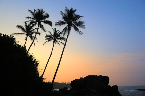 Tropischer Sonnenuntergang — Stockfoto