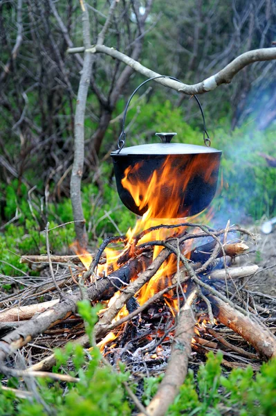 Cocinar en la naturaleza — Foto de Stock