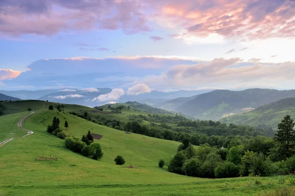 Prachtig zomers landschap in de bergen — Stockfoto