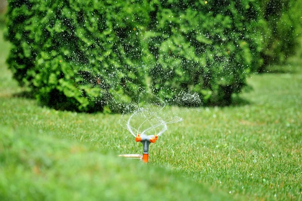 Sprinkler watering grass — Stock Photo, Image